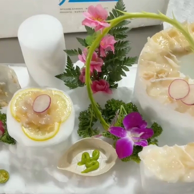 Máquina de hielo de nieve con refrigeración por aire para restaurantes con producción de 500 kg por día