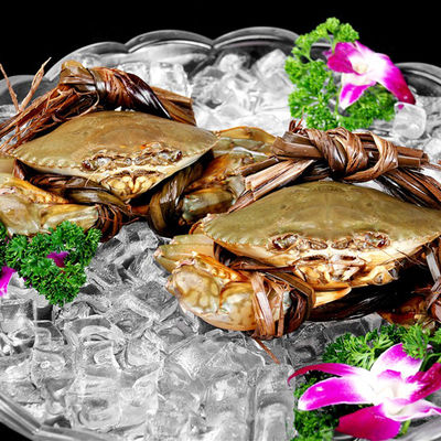 Capacidad de llenado 800 g LZ-3300 Fabricante de hielo comercial para la producción diaria de hielo